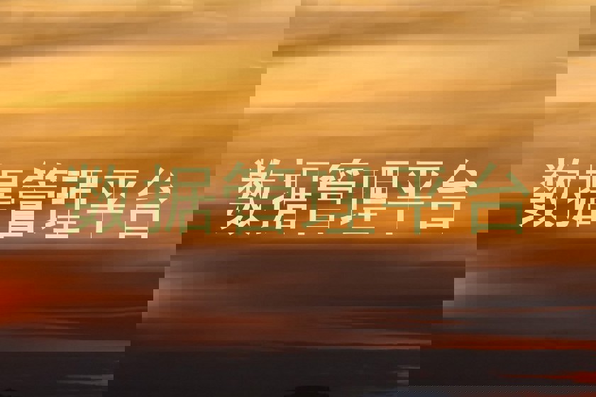 数据管理平台