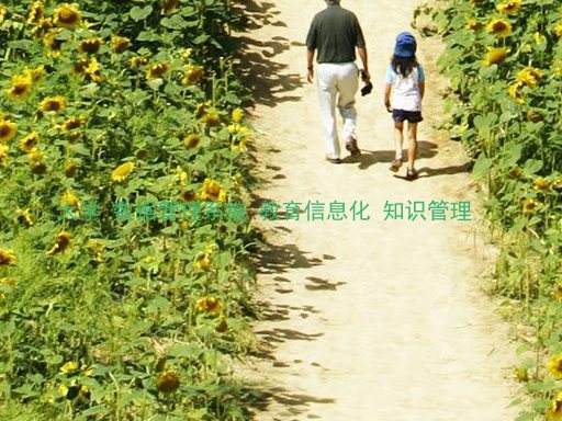 大学 数据管理系统 教育信息化 知识管理