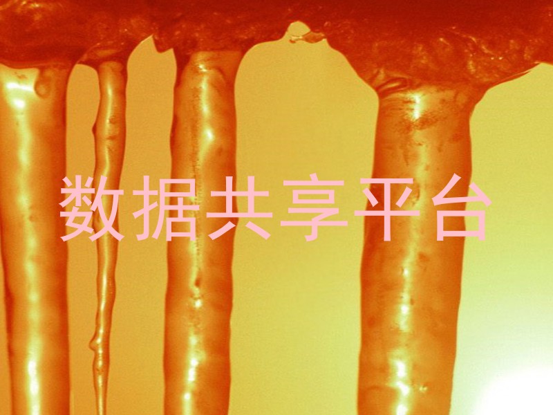 数据共享平台