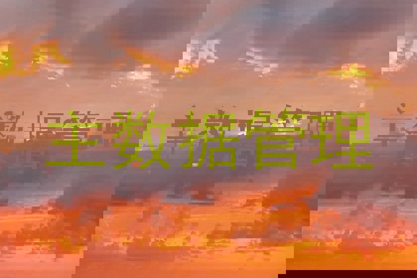 主数据管理
