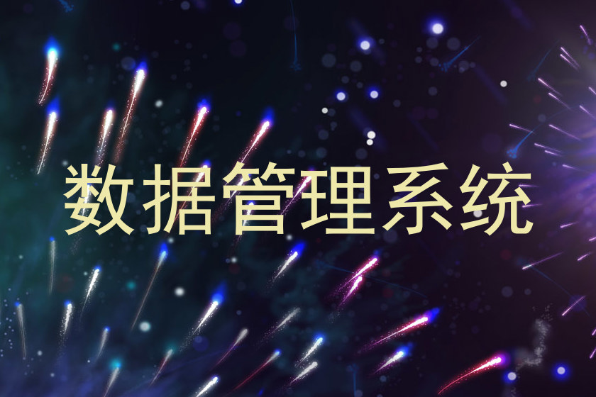 数据管理系统