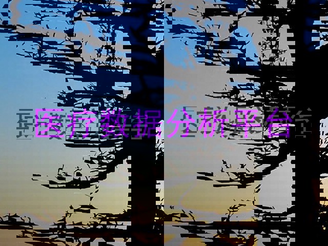 医疗数据分析平台
