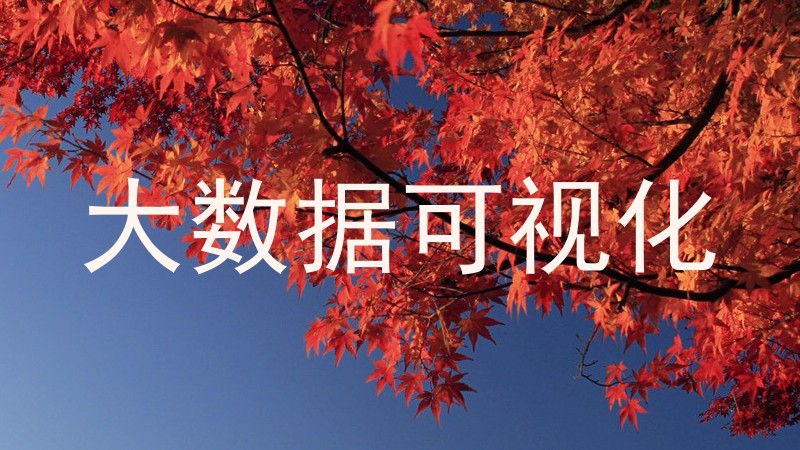 大数据可视化