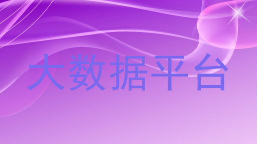 大数据平台
