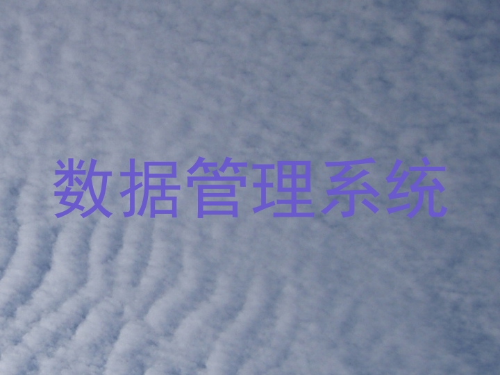 数据管理系统