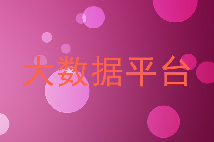 大数据平台