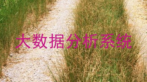 大数据分析系统