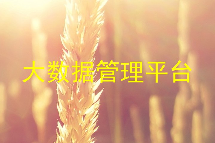 大数据管理平台