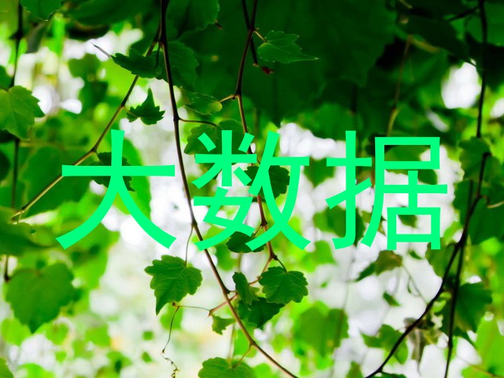 大数据