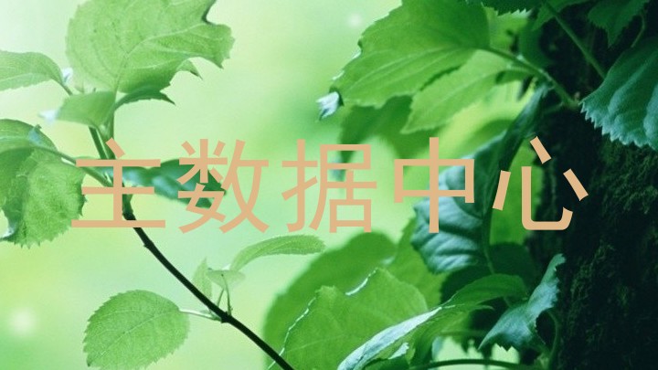主数据中心