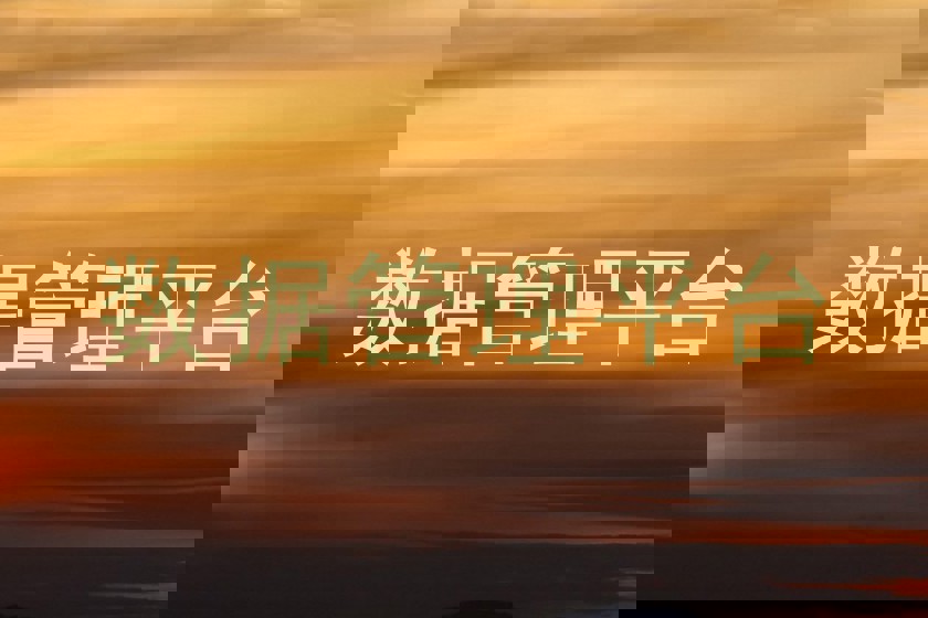 数据管理平台