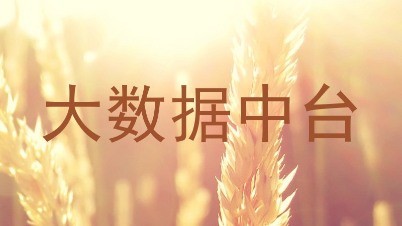 大数据中台