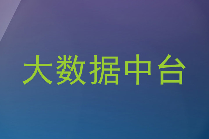 大数据中台