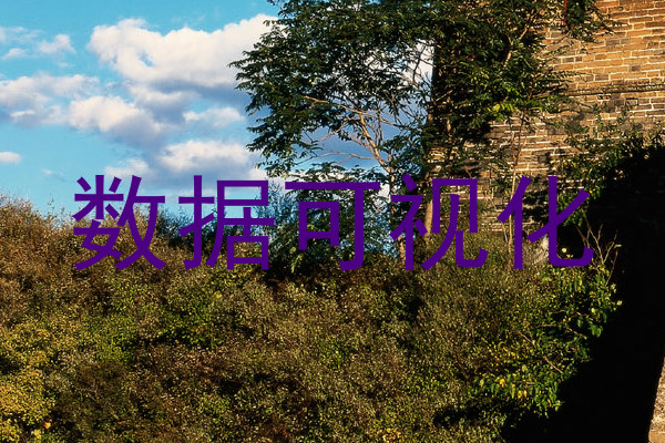 数据可视化