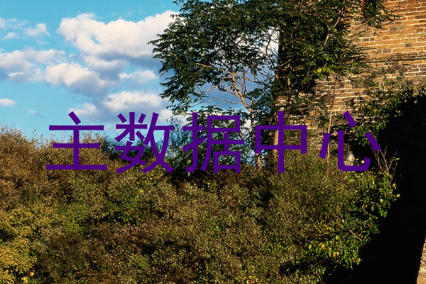 主数据中心