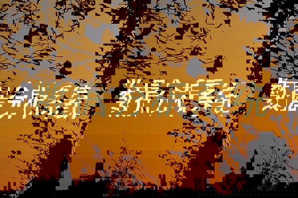 数据分析系统