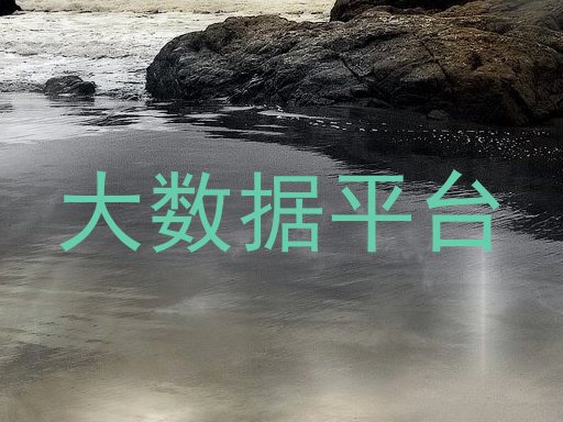 大数据平台
