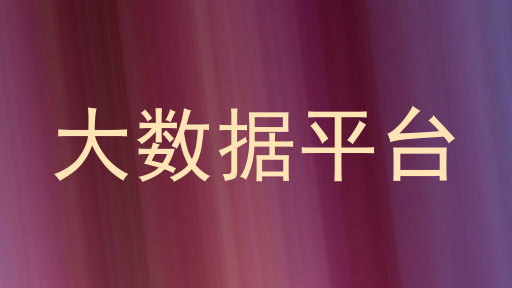 大数据平台
