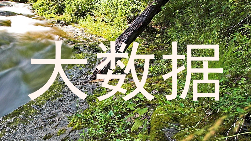 大数据