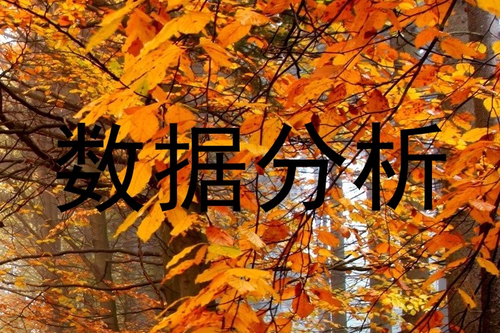 数据分析