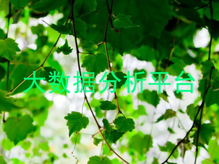 大数据分析平台