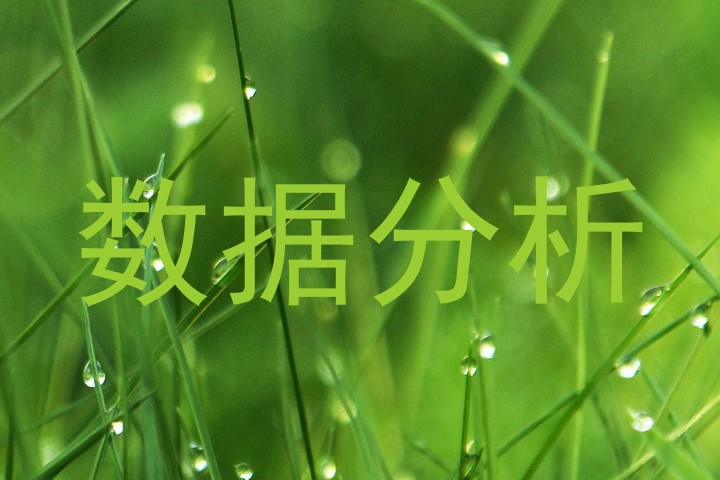 数据分析