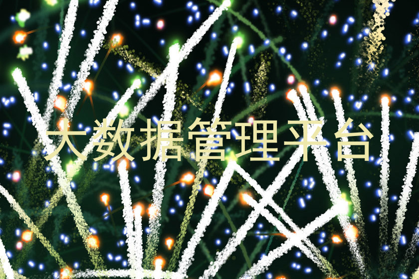 大数据管理平台