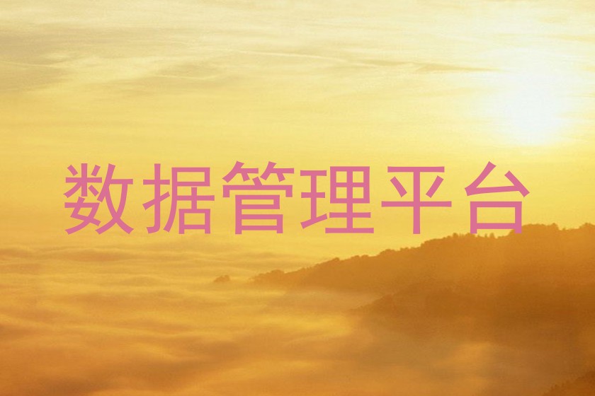 数据管理平台