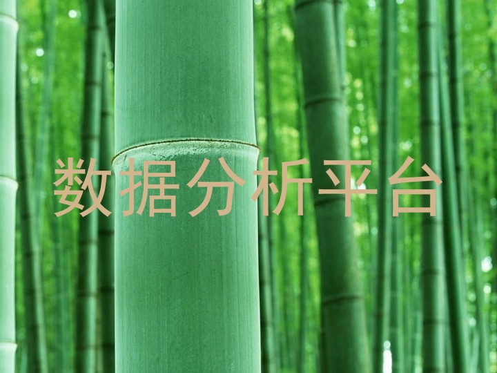 数据分析平台