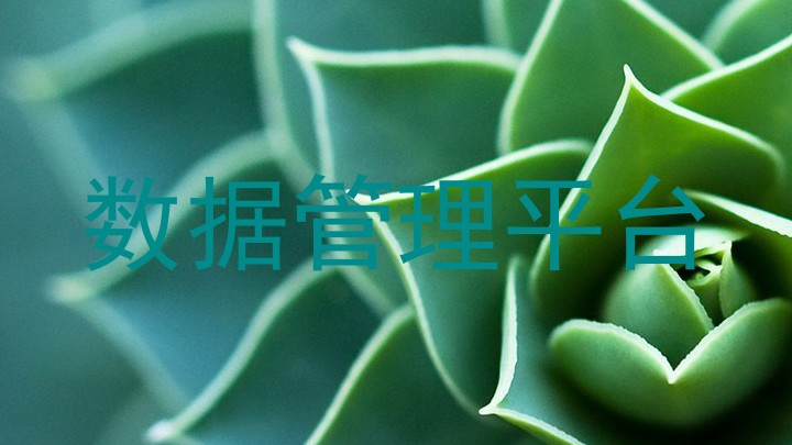 数据管理平台