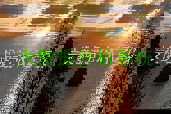 大数据分析系统