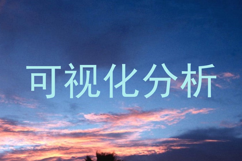可视化分析