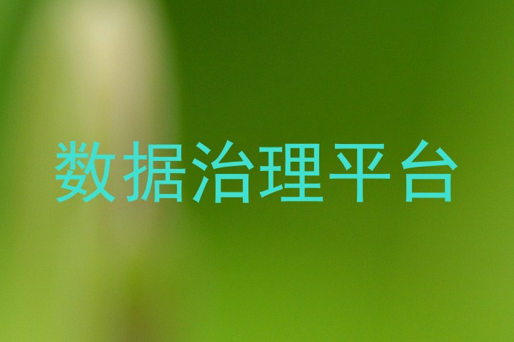 数据治理平台