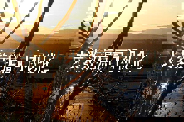 大数据可视化