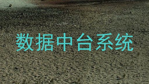 数据中台系统