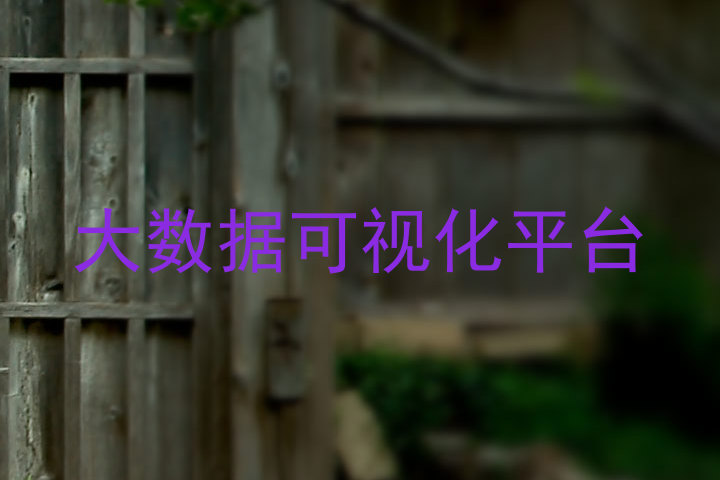 大数据可视化平台