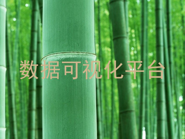 数据可视化平台