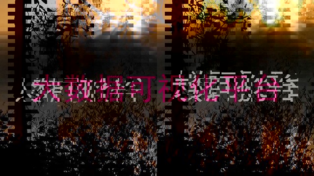 大数据可视化平台
