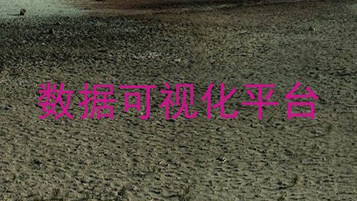数据可视化平台