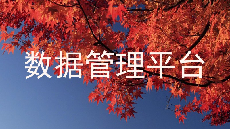 数据管理平台