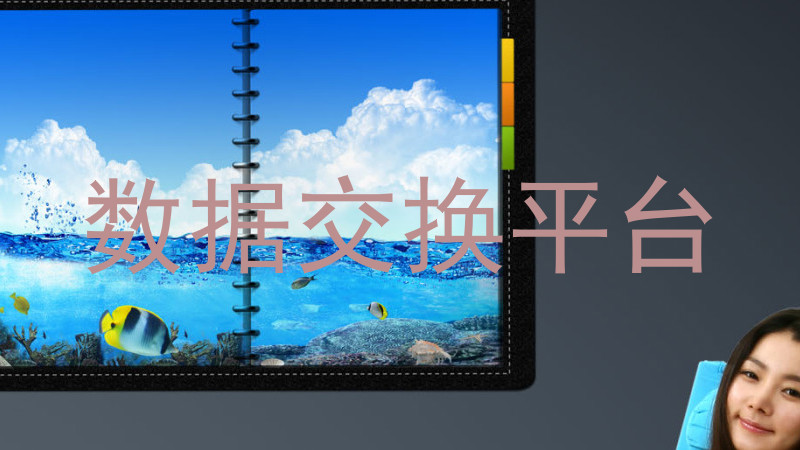 数据交换平台