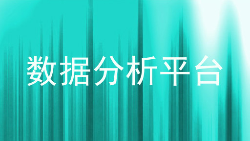 数据分析平台