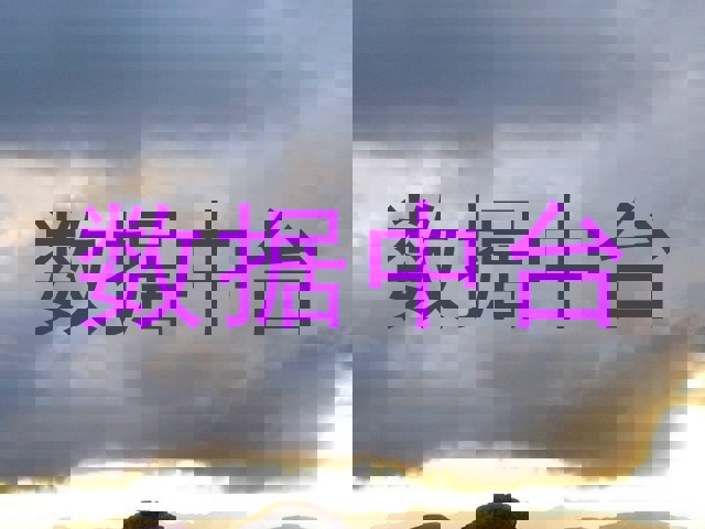 数据中台