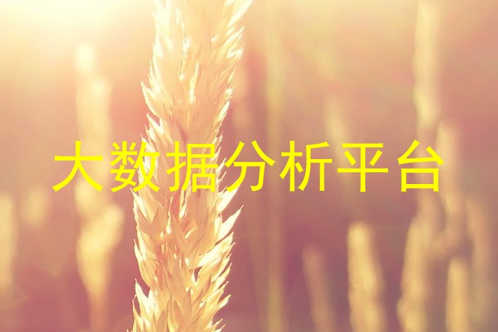 大数据分析平台