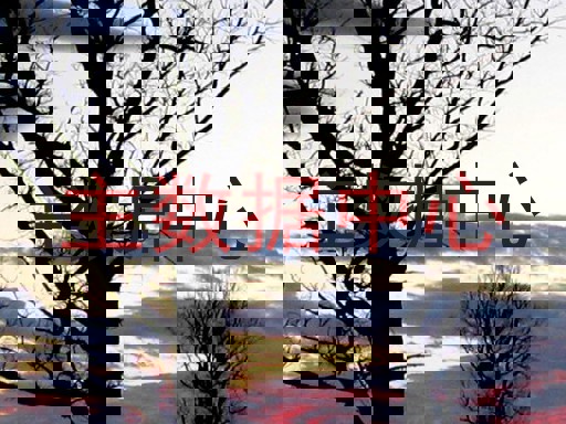 主数据中心