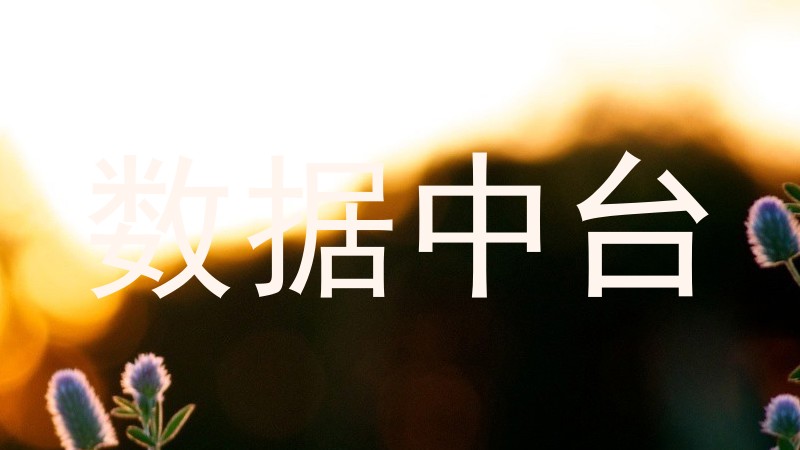 数据中台