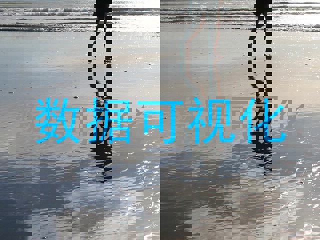 数据可视化