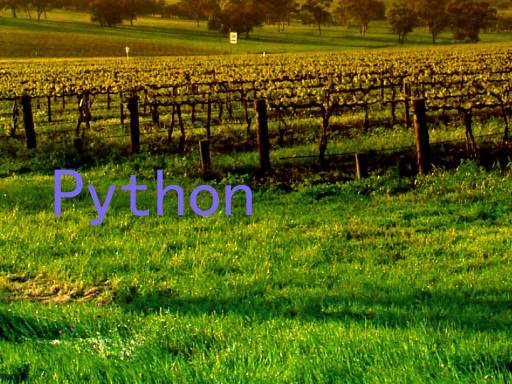 Python