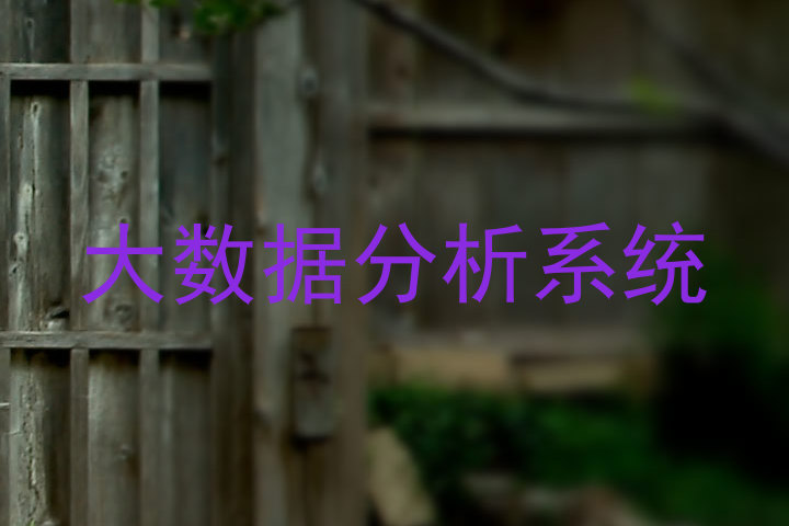 大数据分析系统