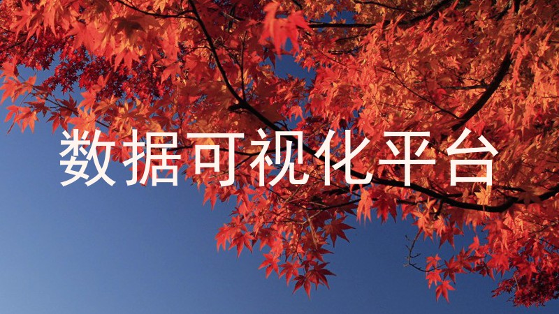 数据可视化平台